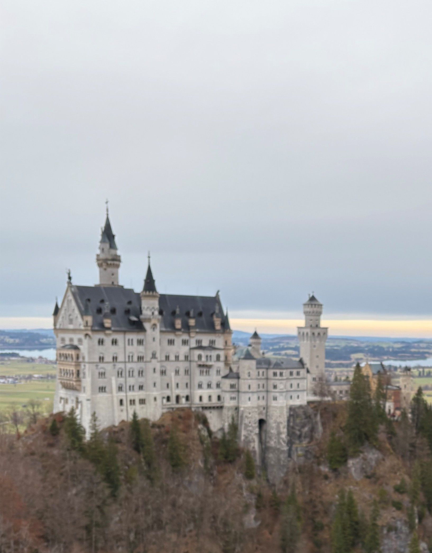 Neuschwanstein Castle perched on a rocky, tree-covered hillside under a cloudy sky.